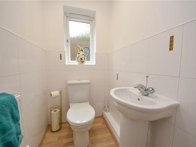 Picture 13
